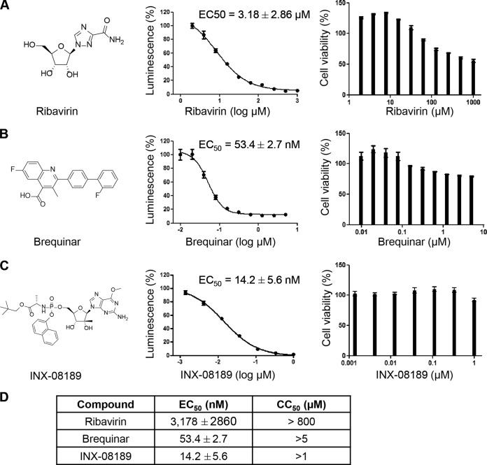 FIG 1