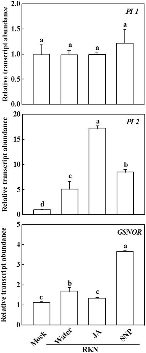 FIGURE 4