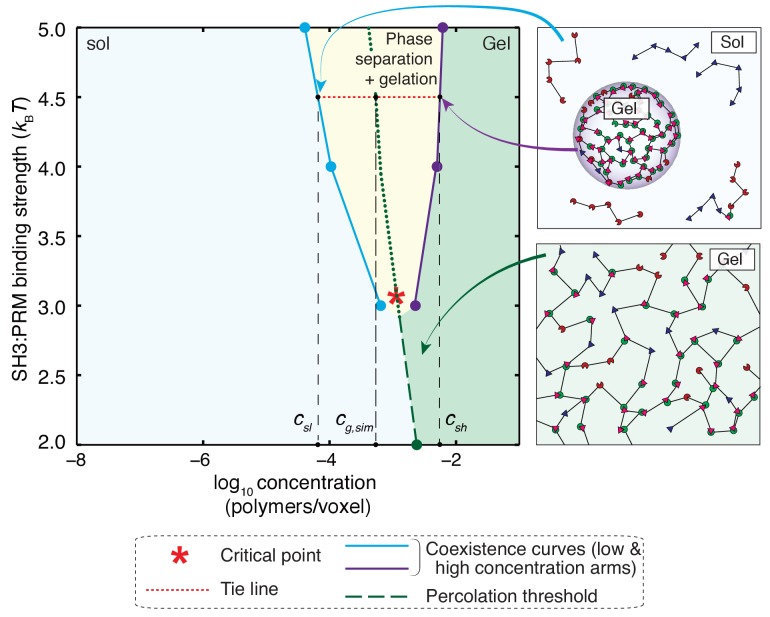 Figure 9.