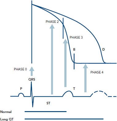 Figure 1: