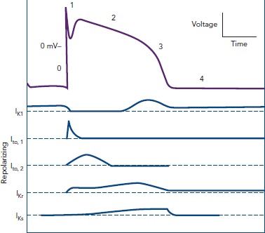 Figure 2: