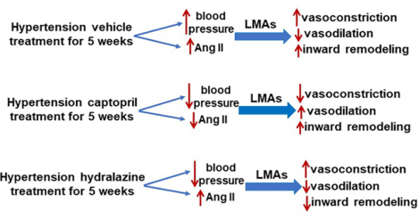 graphic file with name nihms-1585330-f0001.jpg