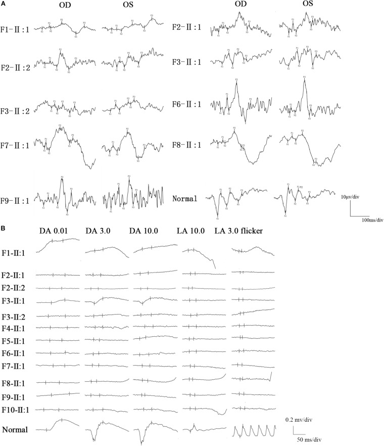 FIGURE 3