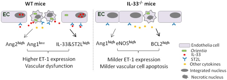 Fig 9