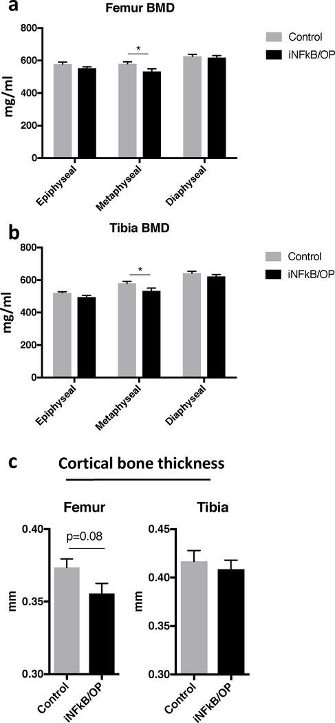 Fig.2