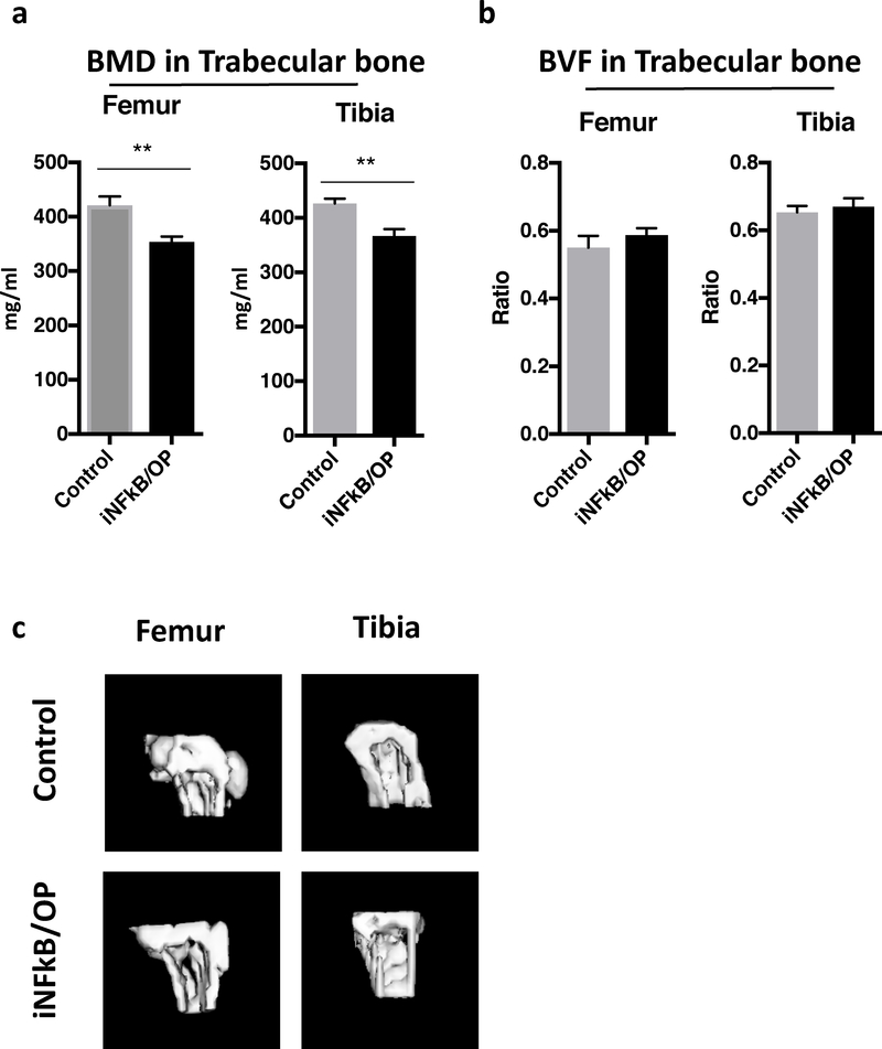 Fig.3