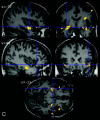 Fig 1.
