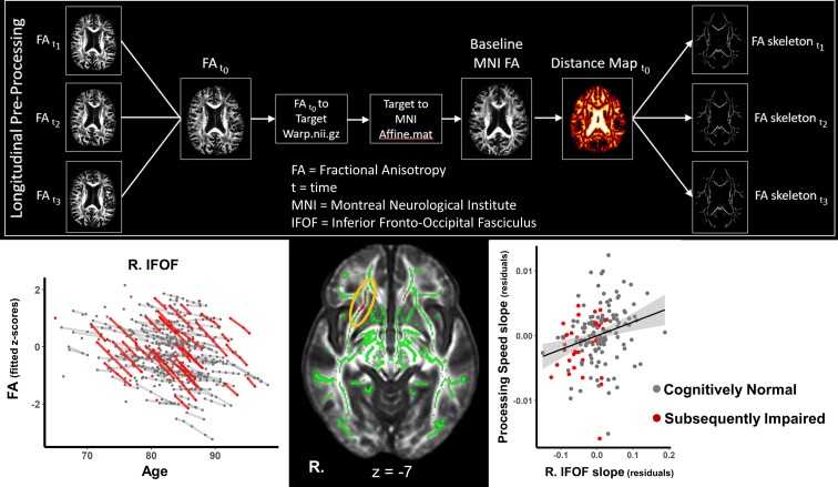 Graphical Abstract