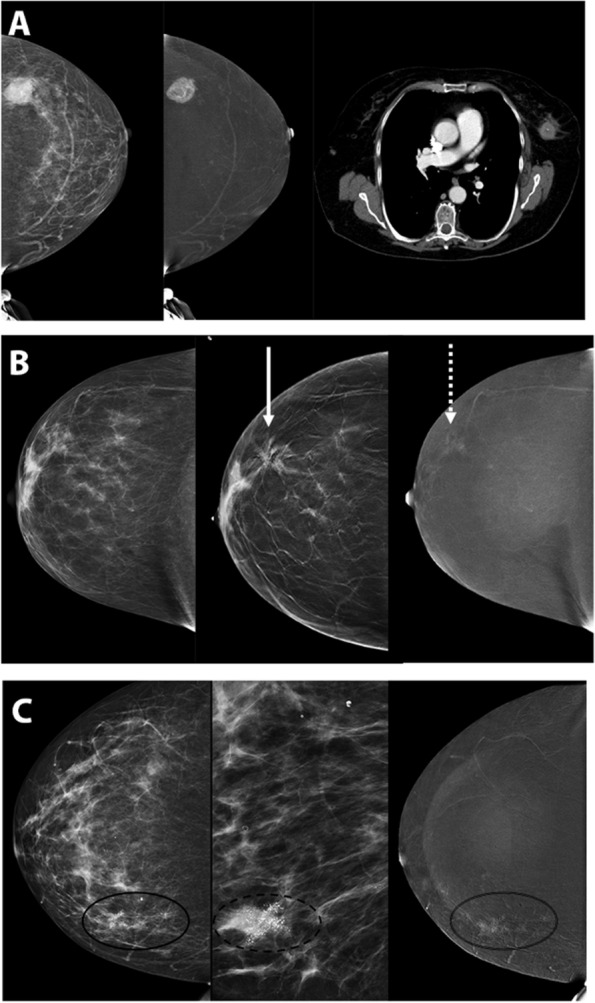 Fig. 7