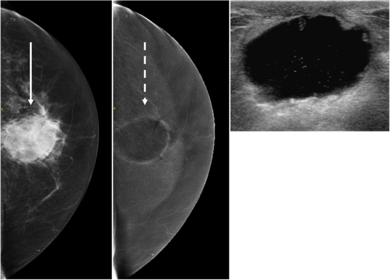 Fig. 9