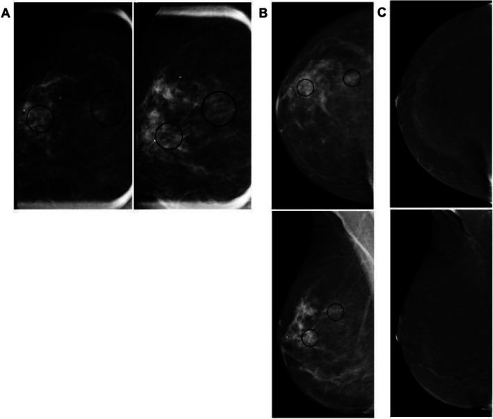 Fig. 12