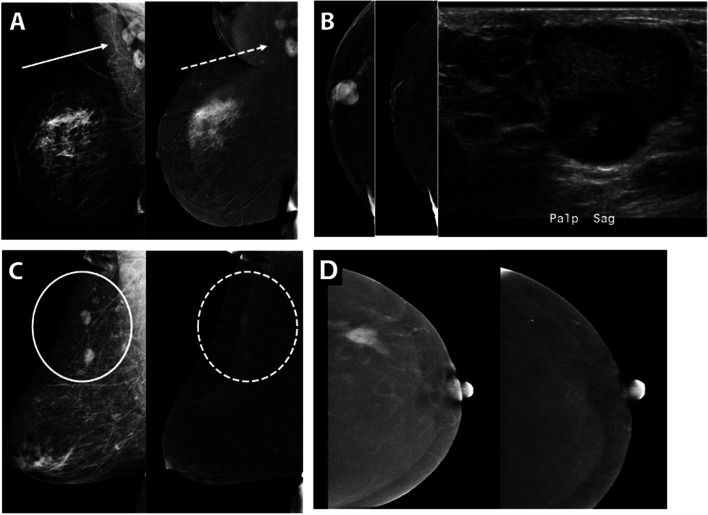 Fig. 6