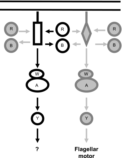 FIG. 7.