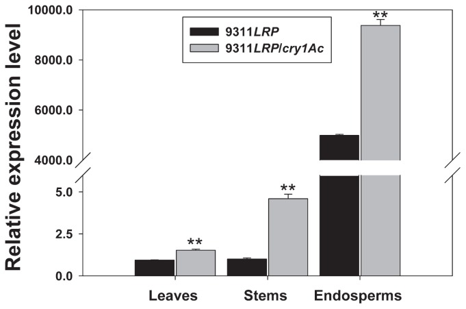 Fig. 4