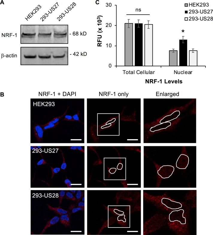 FIG 6