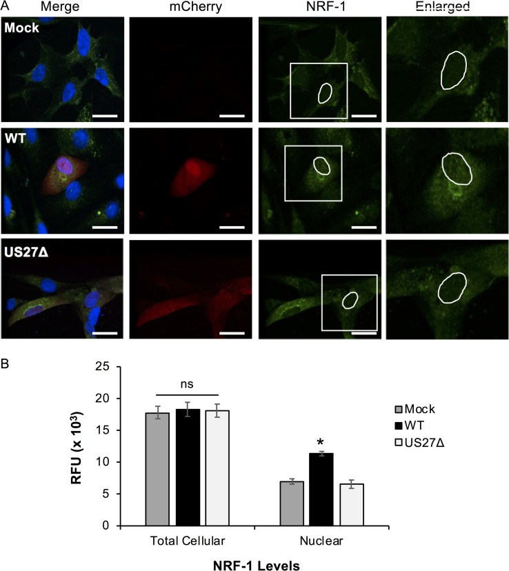 FIG 8