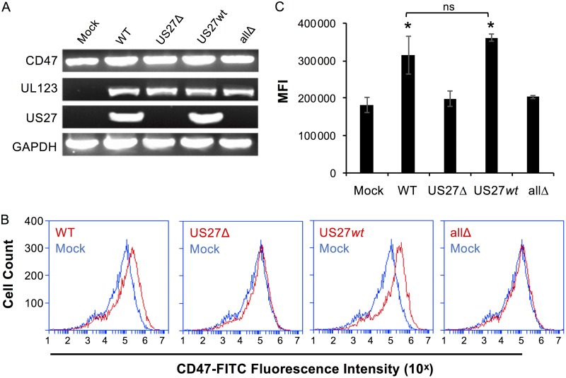 FIG 11