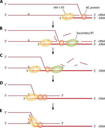 FIG. 7.