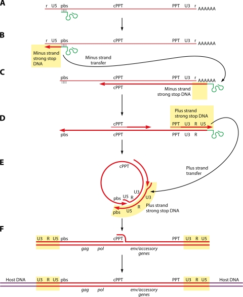 FIG. 2.