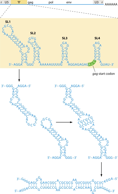 FIG. 9.