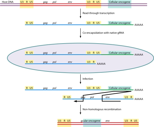 FIG. 12.