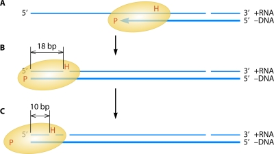 FIG. 5.