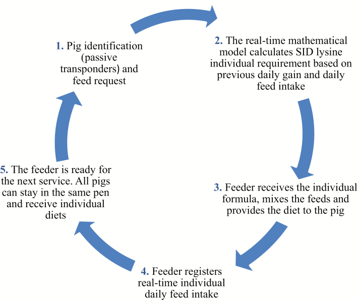 Figure 2.