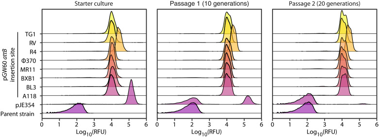 Fig. 4.