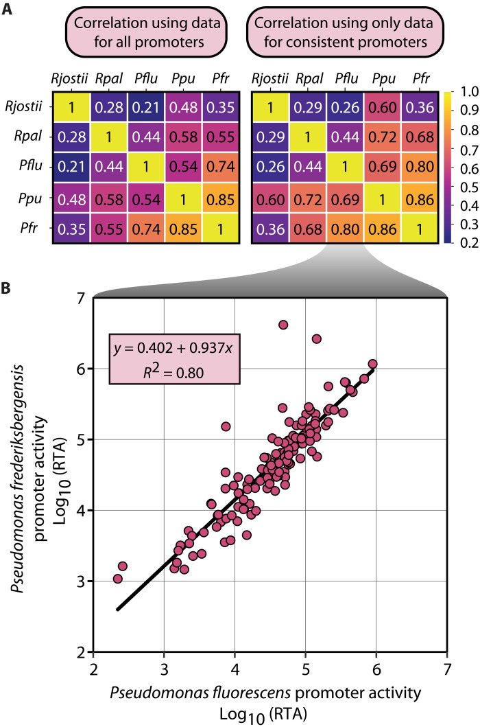 Fig. 6.