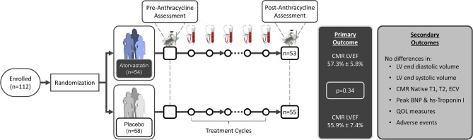 Graphical Abstract