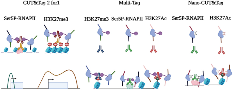 Figure 2.