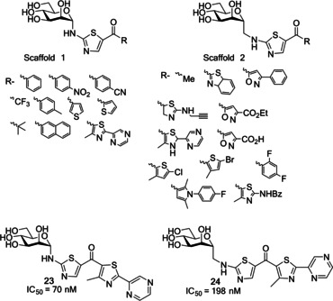 Figure 21