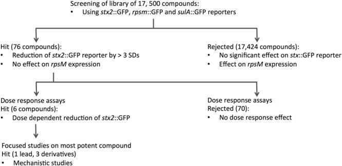 FIGURE 1