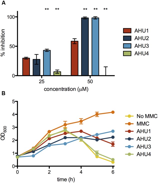 FIGURE 4