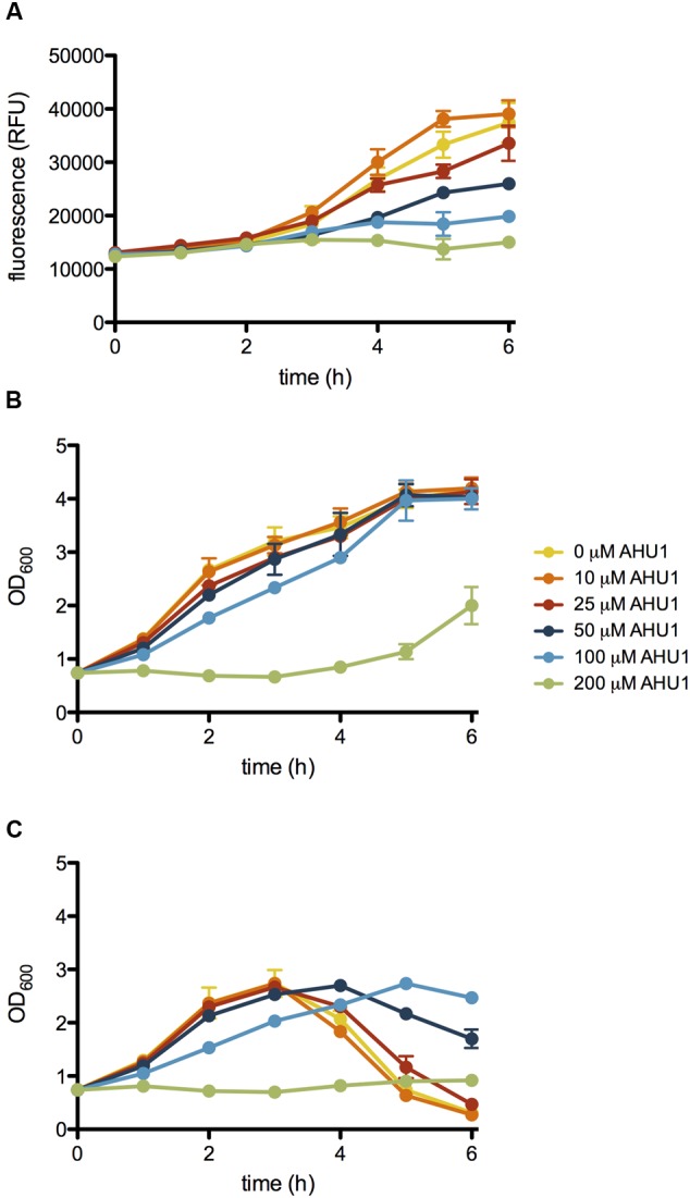 FIGURE 3