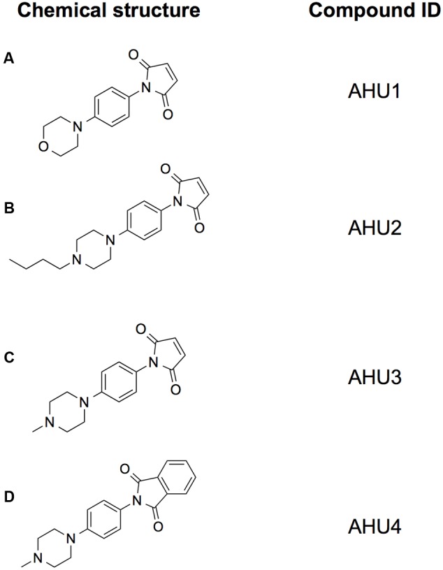 FIGURE 2