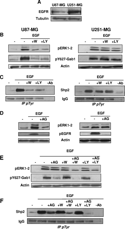 FIG. 8.