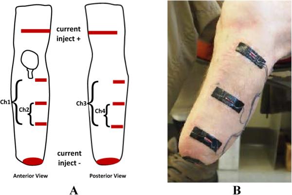 Figure 2A,B