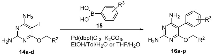 graphic file with name molecules-22-01592-i001.jpg