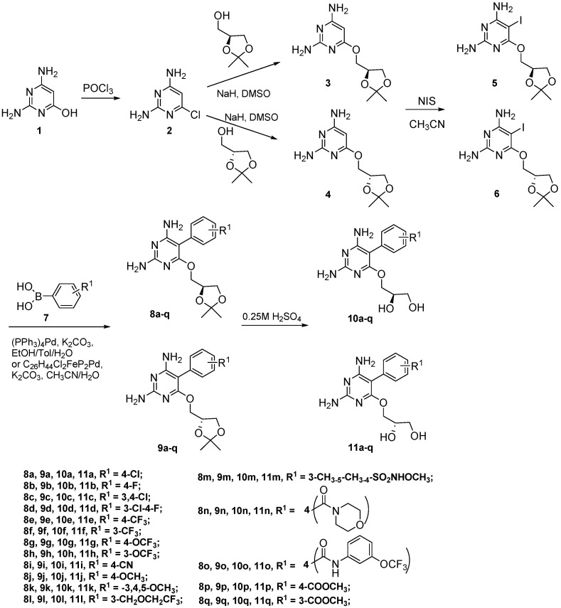 Scheme 1