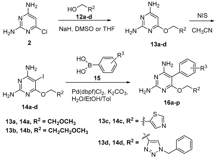 Scheme 2