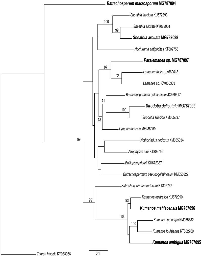 Figure 2.