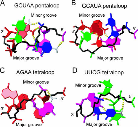 FIGURE 4.