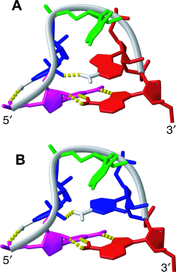 FIGURE 3.