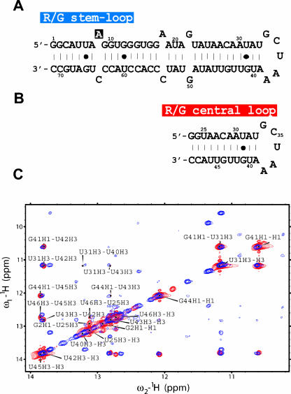 FIGURE 1.