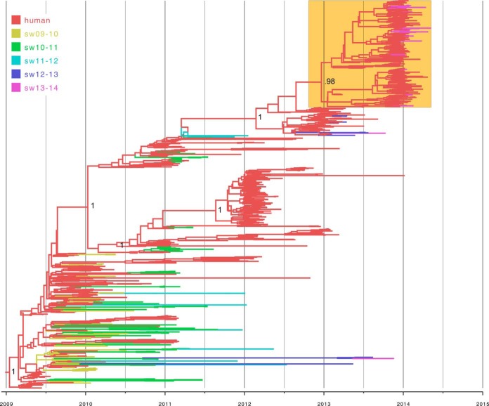 FIG 1