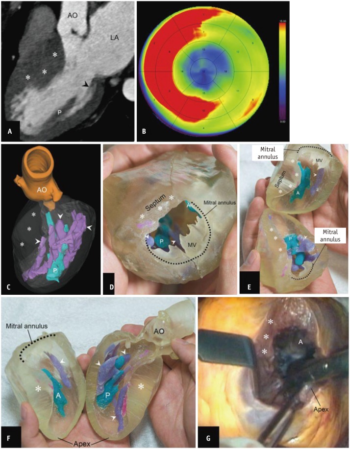 Fig. 9