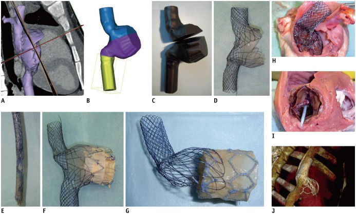 Fig. 11