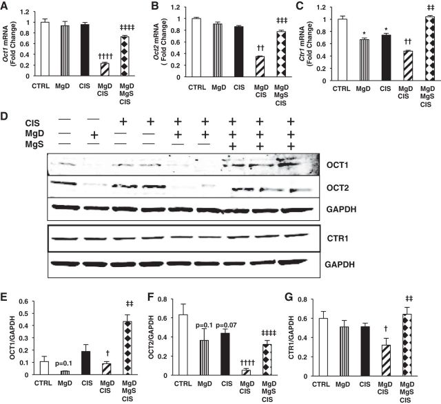 Fig. 10.