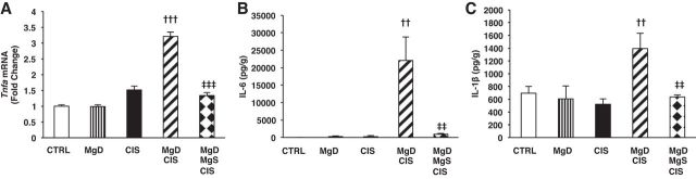 Fig. 4.